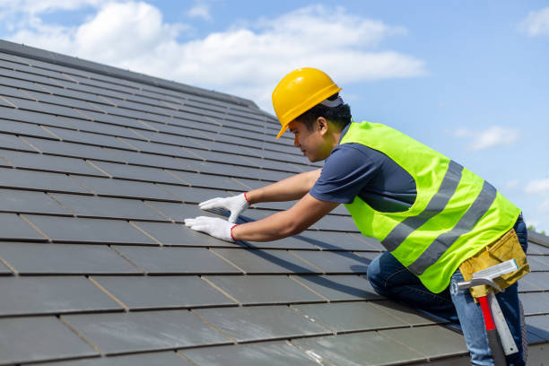 Best Local Roofing Companies  in Redwood Falls, MN