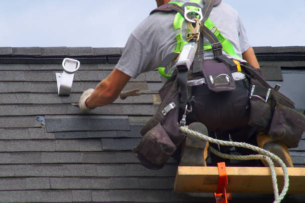 Best Metal Roofing Contractor  in Redwood Falls, MN