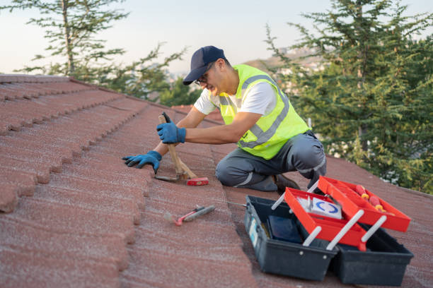 Roof Waterproofing Services in Redwood Falls, MN