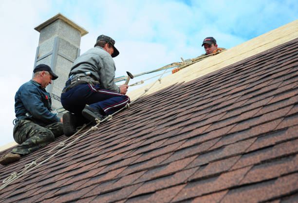 Best Best Roofing Contractors  in Redwood Falls, MN