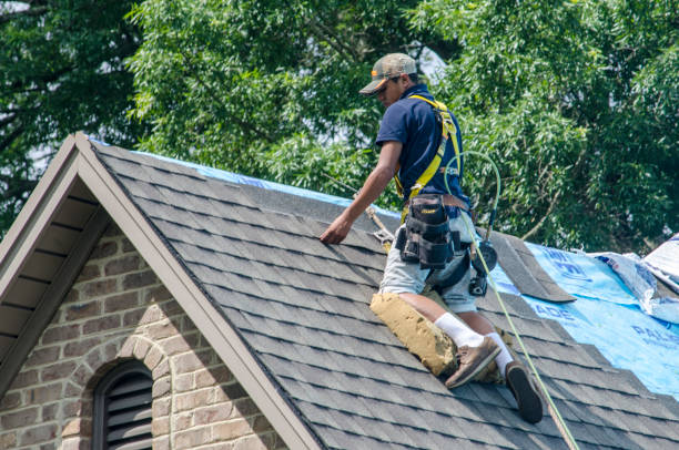 Best Roof Maintenance Services  in Redwood Falls, MN